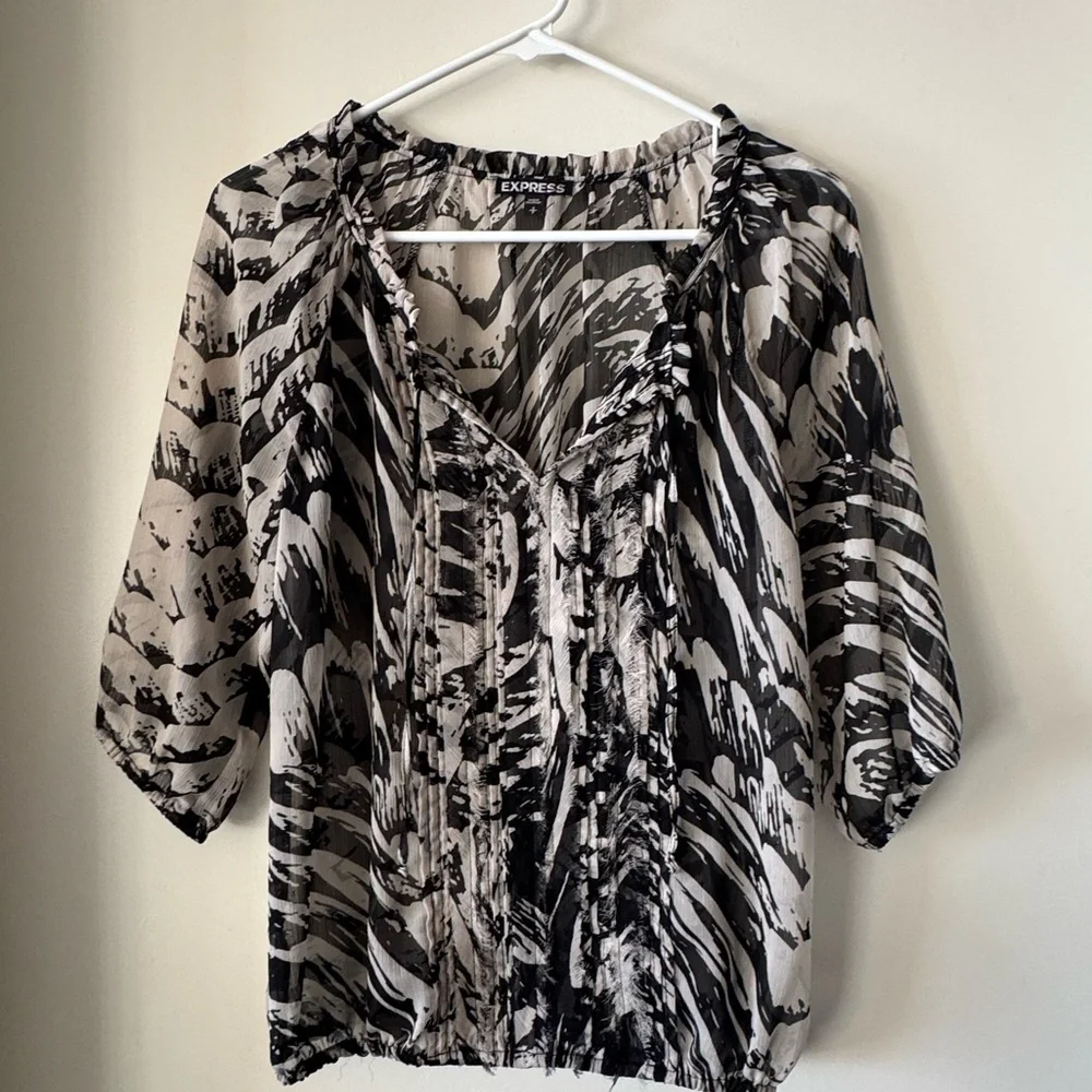 Express Semi-Sheer V-Neck Top